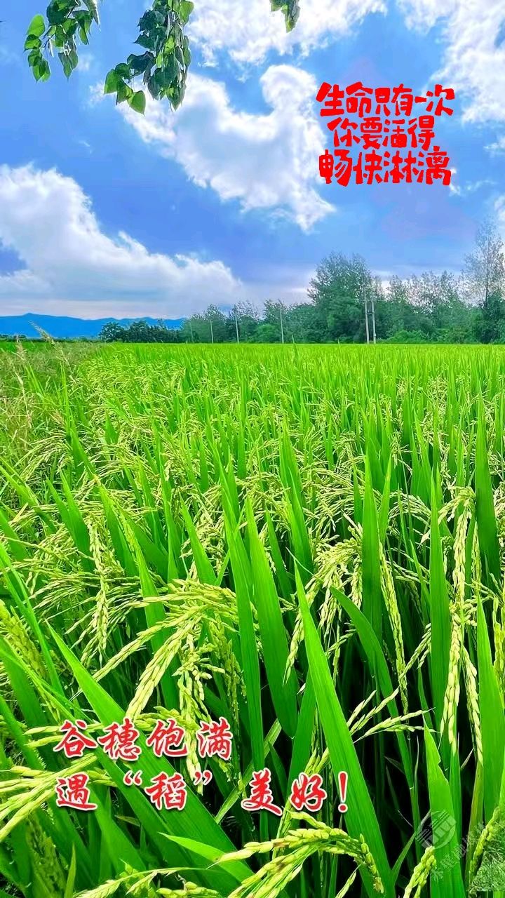 人缘，人品～文||穆艳花（图14）