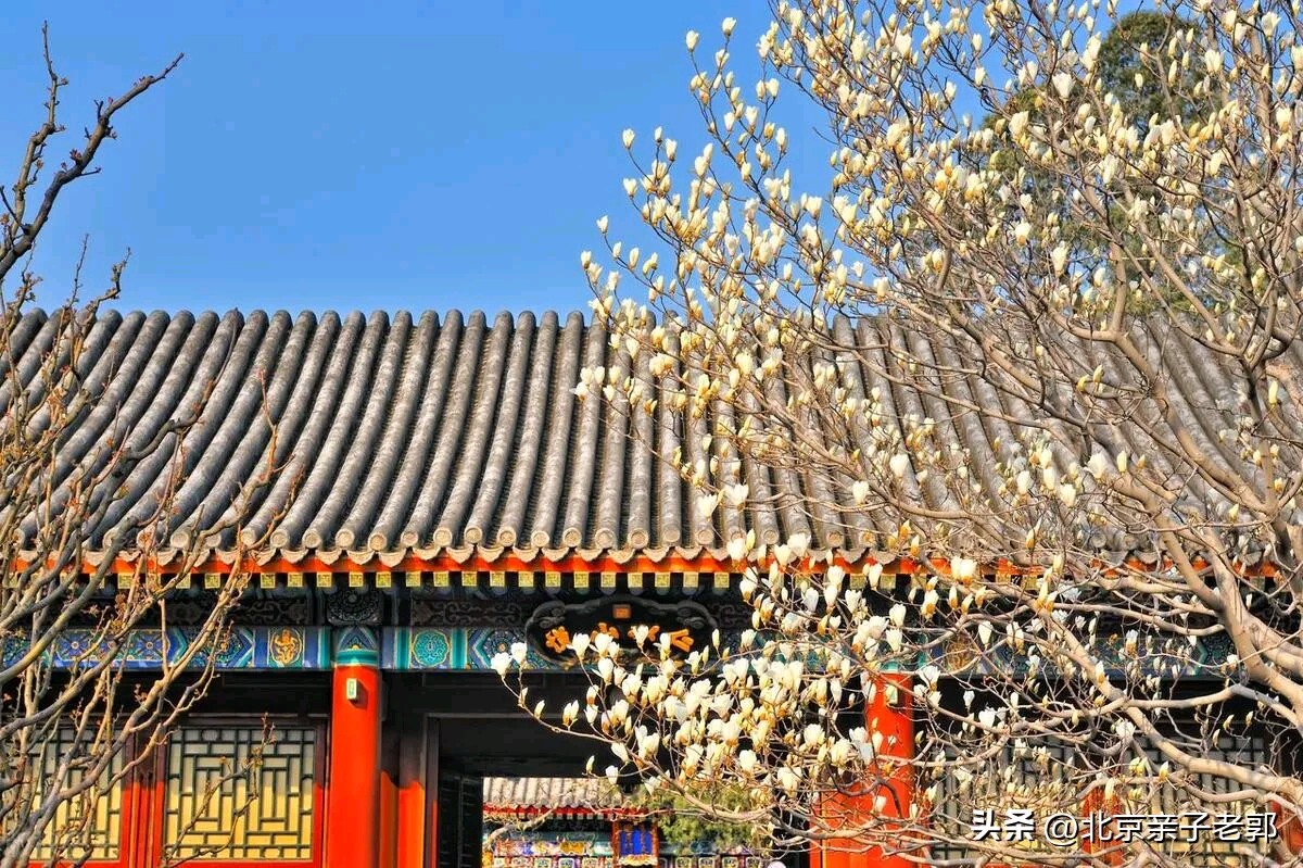 《现代诗人田歌现代诗词几首》作者:田歌 [中国现代诗歌文化传媒]（图6）