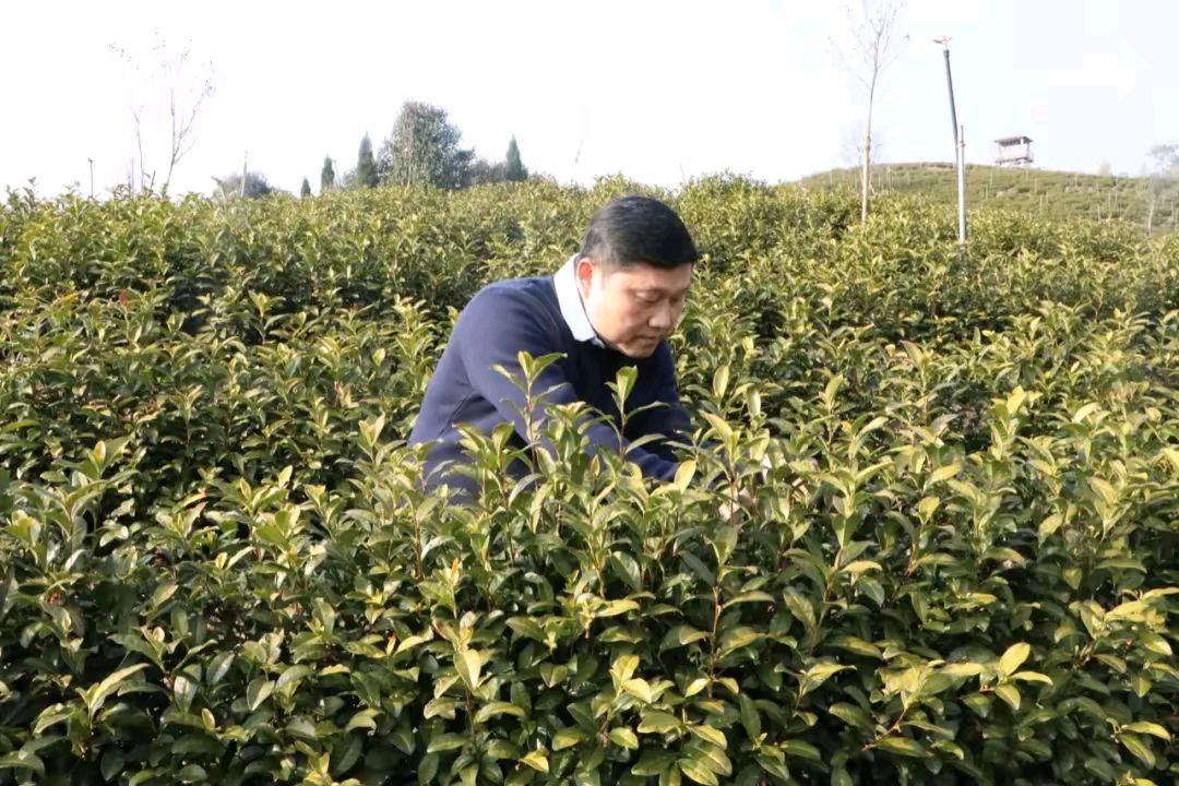 《现代诗人管泽富现代诗词几首》作者:管泽富 [中国现代诗歌文化传媒]（图6）