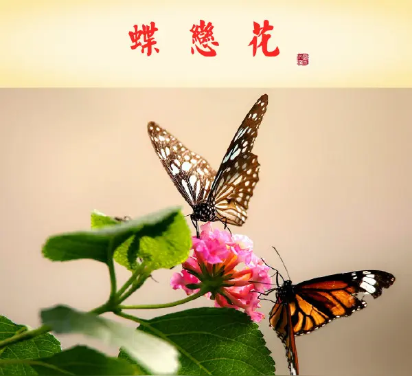 《龙游天下现代诗人现代古诗词牌赏析》 作者:李华 [中国现代诗歌文化传媒]（图5）
