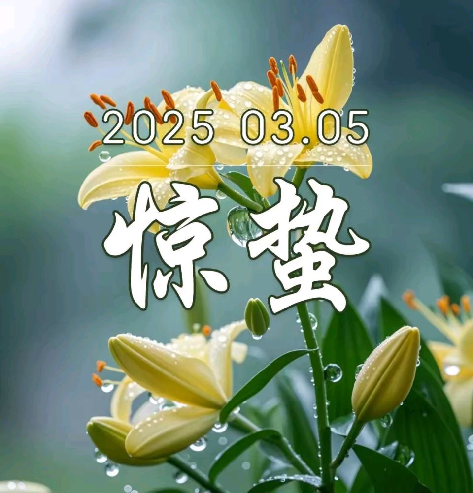 《郭小林现代诗人现代诗及现代古诗鉴赏》作者:郭小林 [中国现代诗歌文化传媒]（图5）