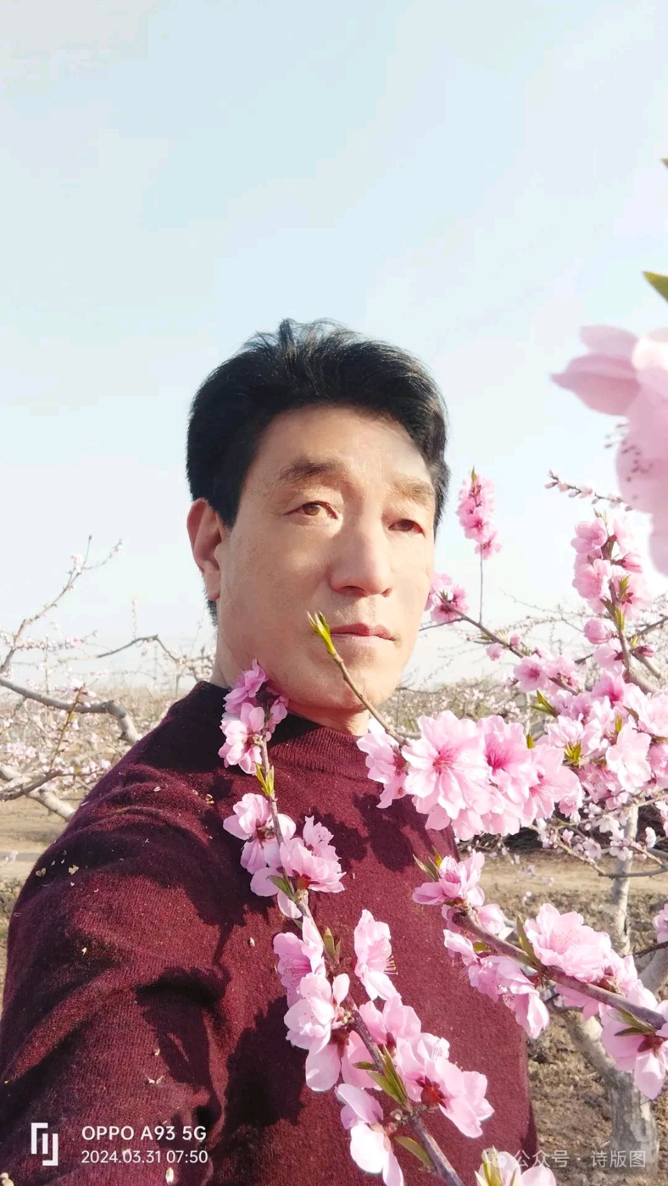 花开盛世·红牡丹 (组诗·九首)（图12）