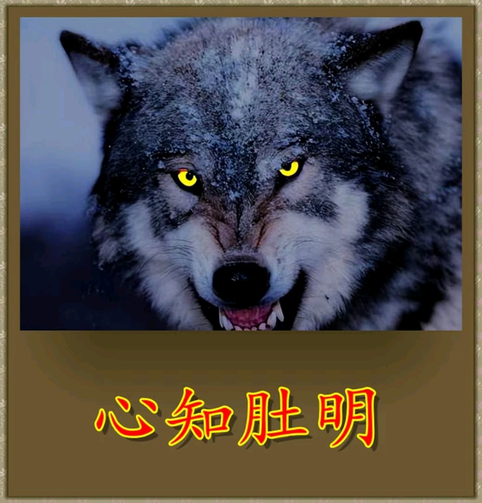 心知肚明(诙谐)-文/李铁民-西银/北京头条（图2）