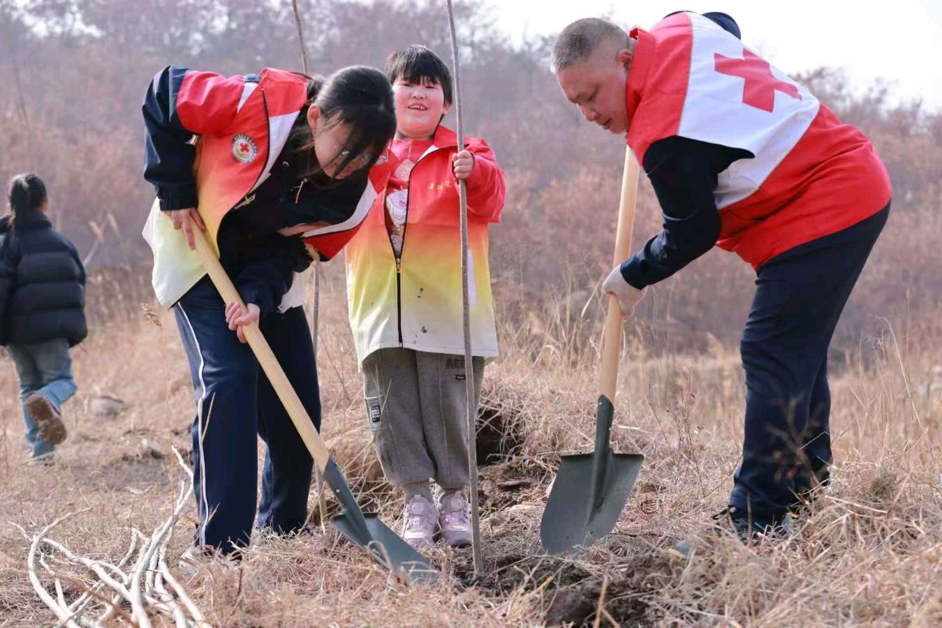 志愿者卧龙堡山上植树 通讯员/于建章 王浩民——滨州头条(图2)