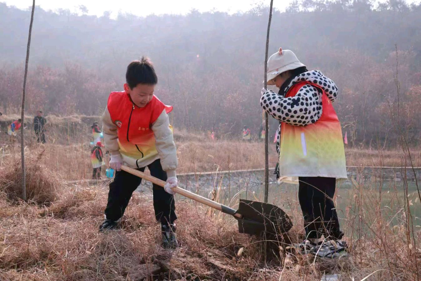 志愿者卧龙堡山上植树 通讯员/于建章 王浩民——滨州头条(图5)