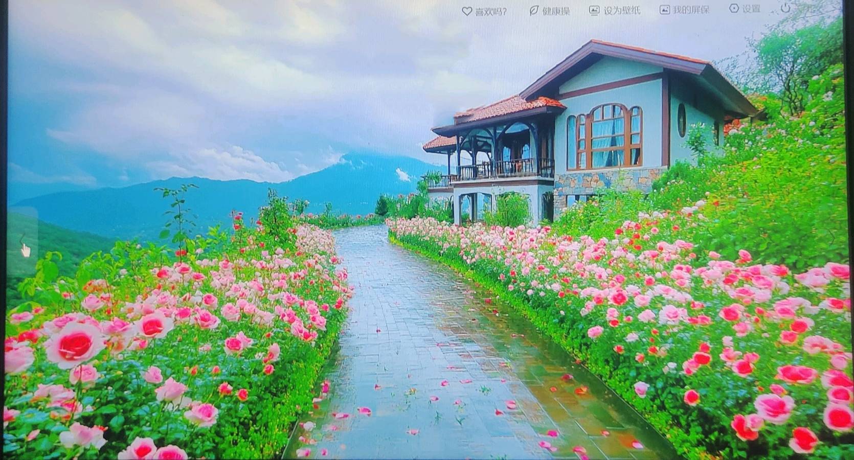 【春日征稿】山东谢可忠‖赏花（图2）