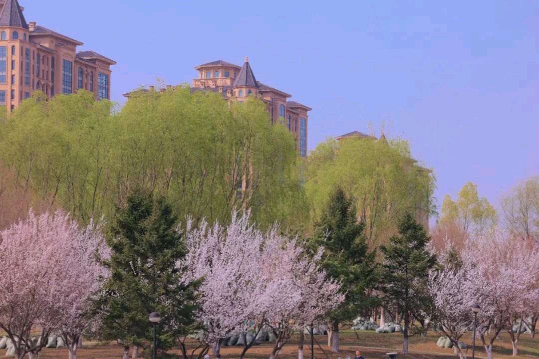 一剪梅 《 念旧友》 文/姜启赋（图3）