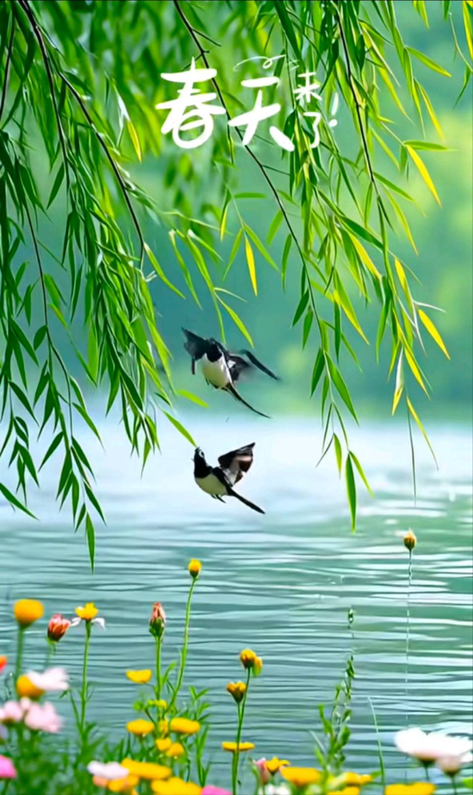 在春天里漫步/刘爱粉（图3）