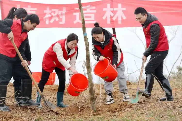 【国风燕赵诗社】徐国芳栽培乐集锦三首与您共享！（七）《北京头条》（图14）