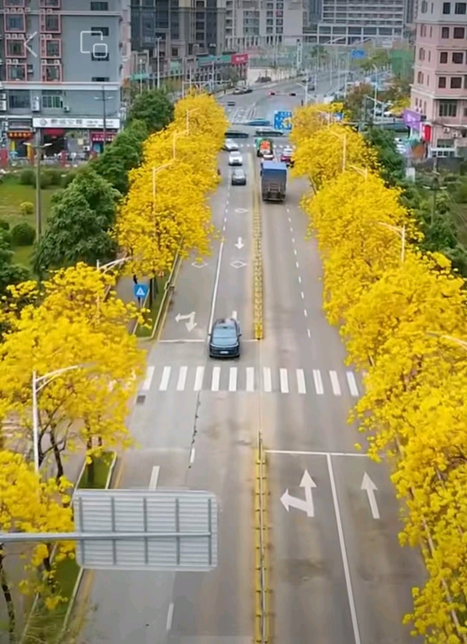 七绝~中华新韵/詹成（图3）