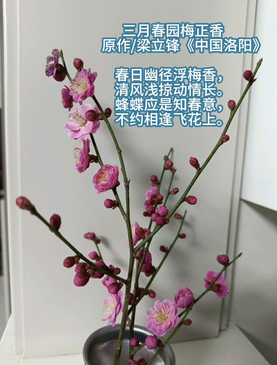 三月春园梅正香 原作/梁立锋（图2）