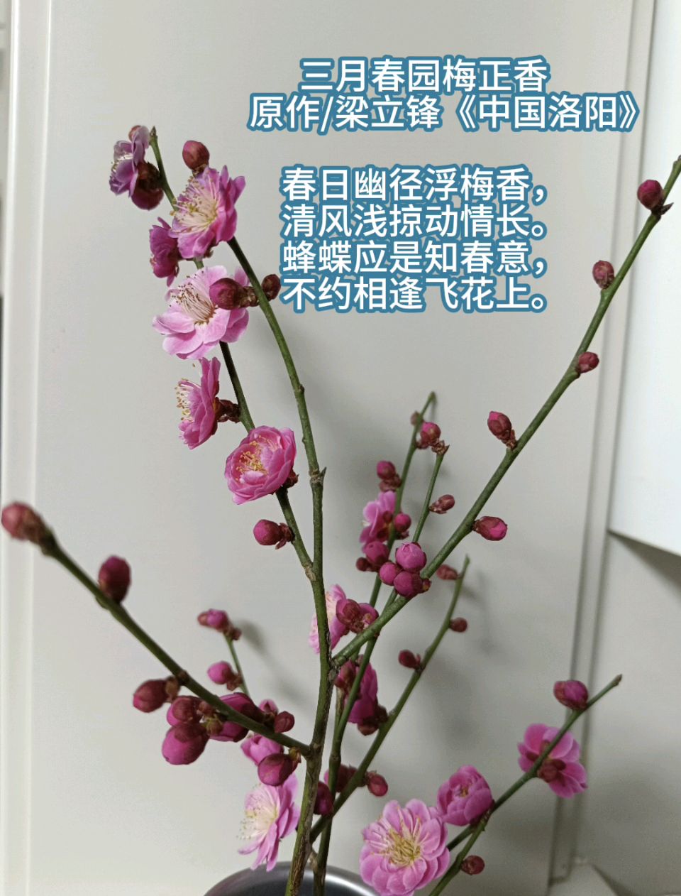三月春园梅正香 原作/梁立锋（图4）