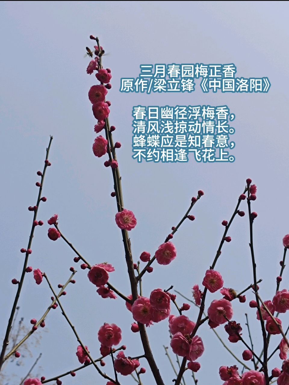 三月春园梅正香 原作/梁立锋（图7）