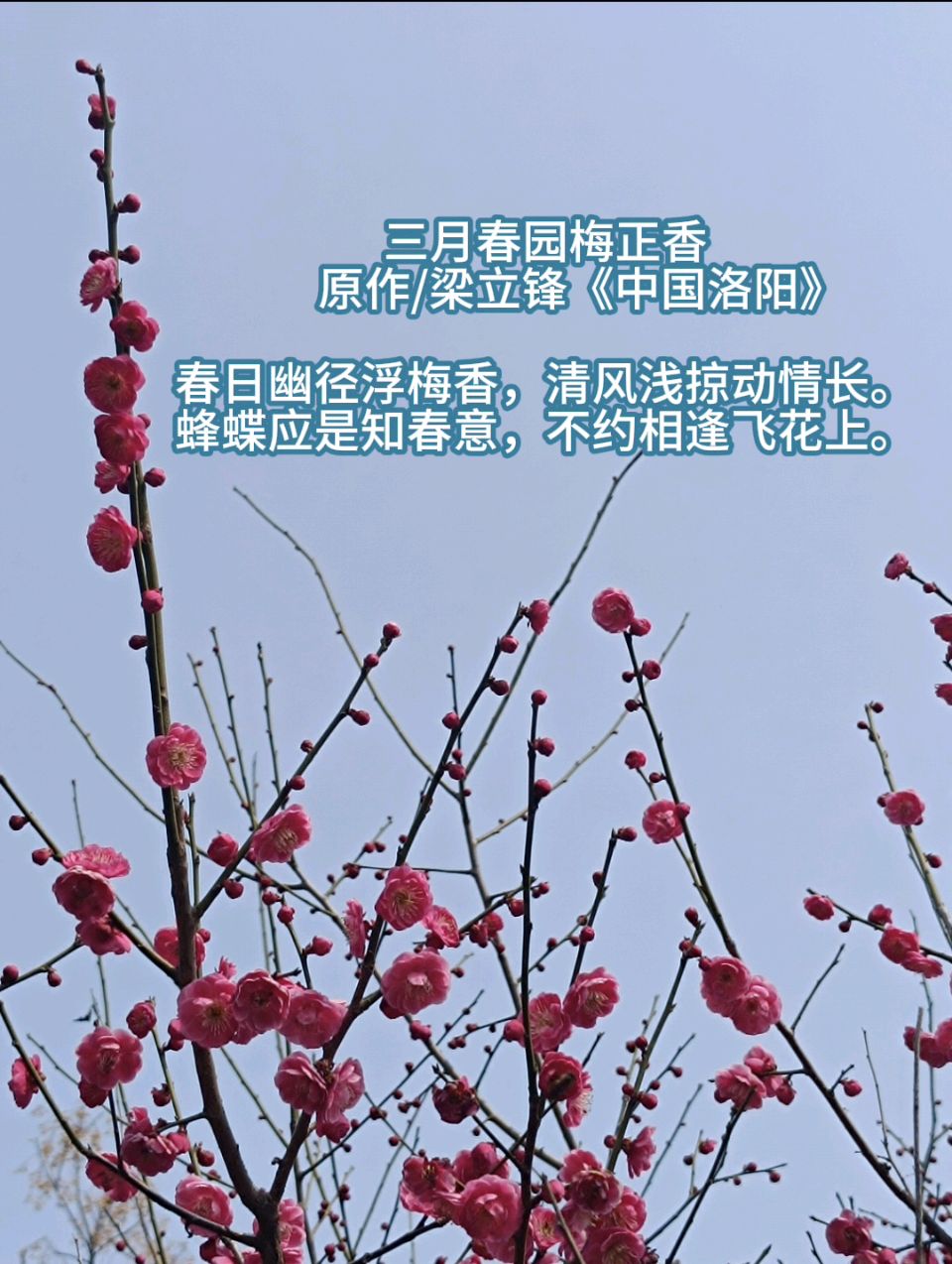 三月春园梅正香 原作/梁立锋（图5）