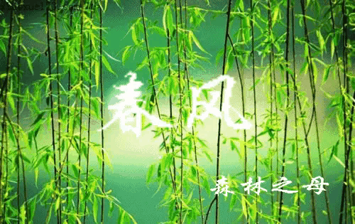 《刘文波著名现代诗人现代古诗鉴赏》作者:刘文波 [中国现代诗歌文化传媒]（图7）