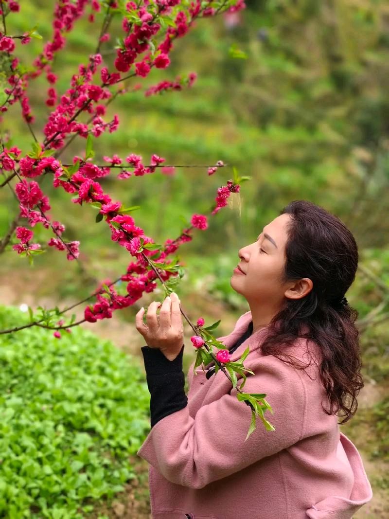 隆都前埔赏桃花～诗||刘哲侬（图9）
