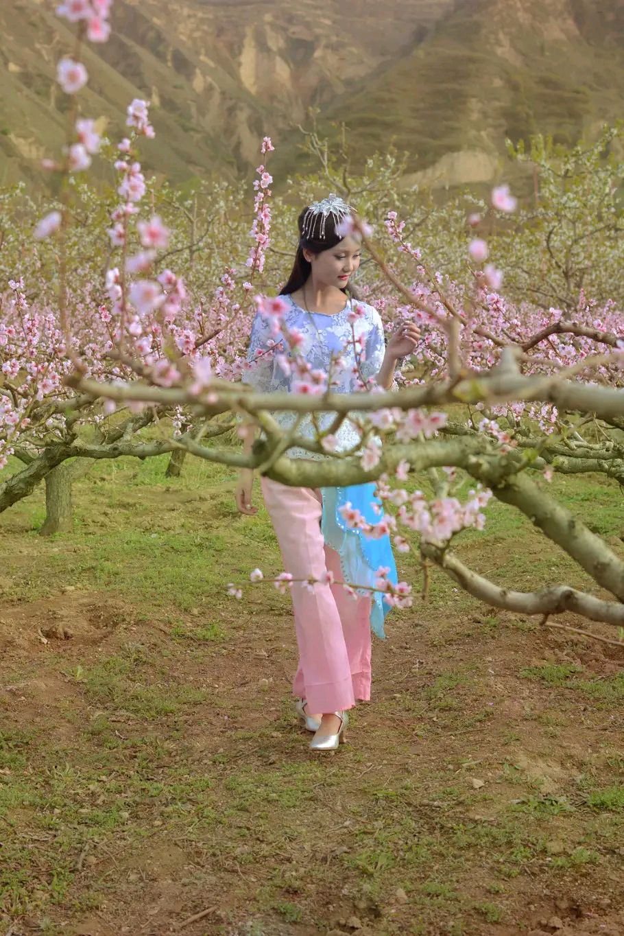 隆都前埔赏桃花～诗||刘哲侬（图13）