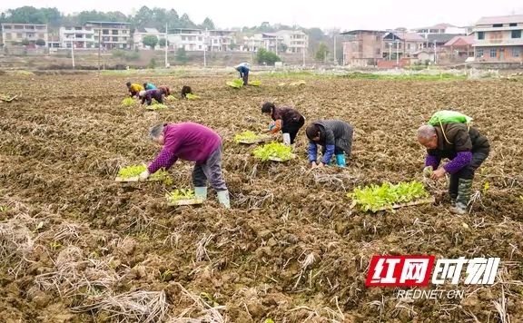 《著名现代诗人刘文波现代古诗鉴赏》作者:刘文波 [中国现代诗歌文化传媒]（图7）