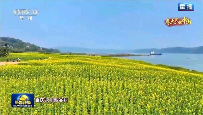 《军人情怀 文人才气——读〈跨越千年不朽〉》作者:成振林/陕西宝鸡(图3)