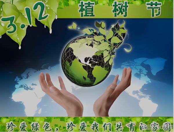 话说植树节（图2）