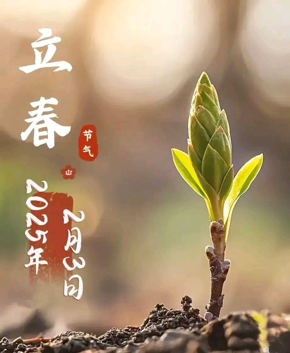 《刘文波著名现代诗人现代古诗鉴赏》作者:刘文波 [中国现代诗歌文化传媒]（图11）