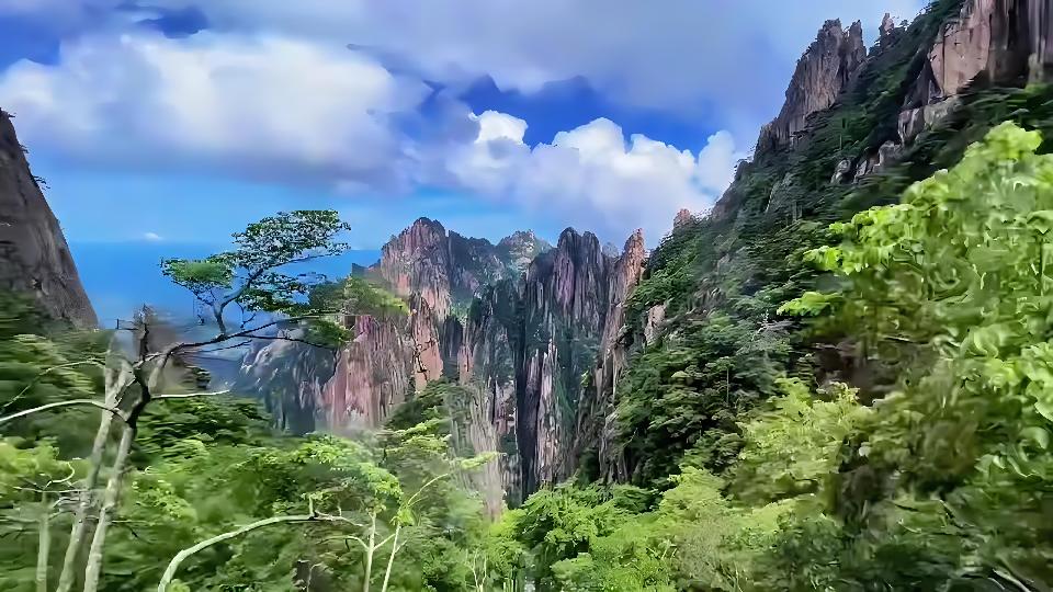 【新山东文学社】《我笑春山不笑人》作者/姜文 主播/竹林听雨(图4)