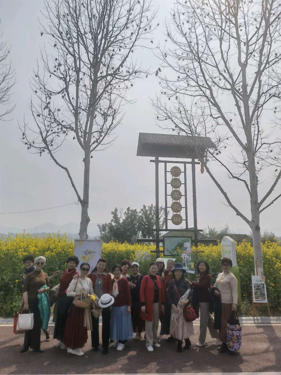 「散文」走，上广阳岛赏油菜花去（图17）