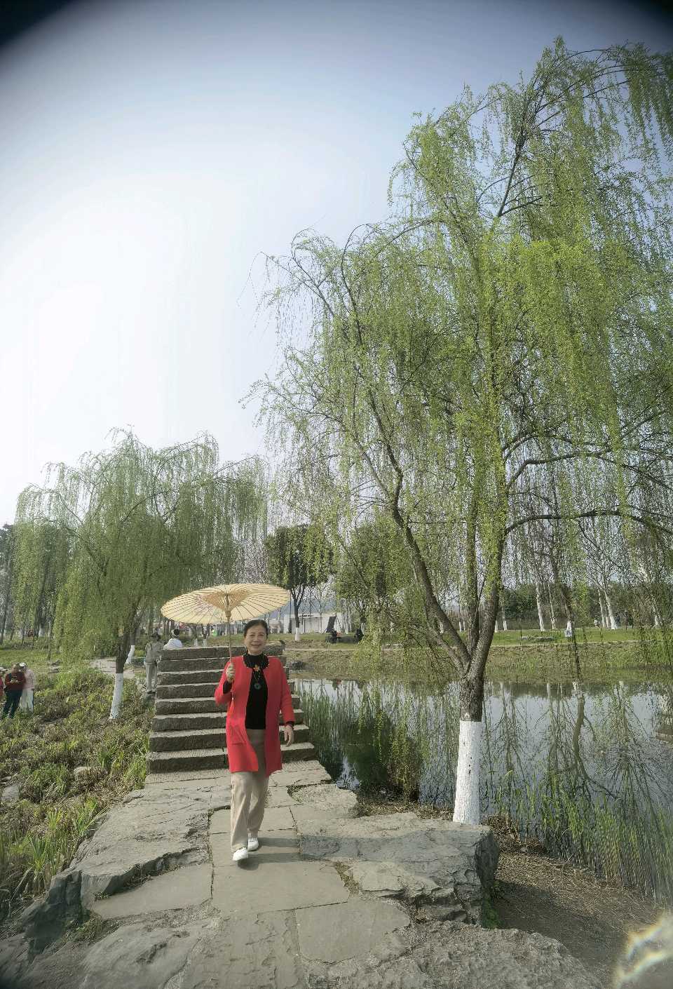 「散文」走，上广阳岛赏油菜花去（图16）
