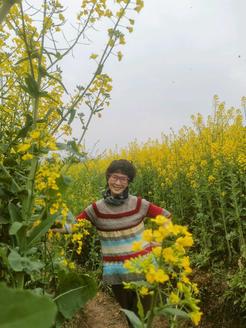 「散文」走，上广阳岛赏油菜花去（图22）