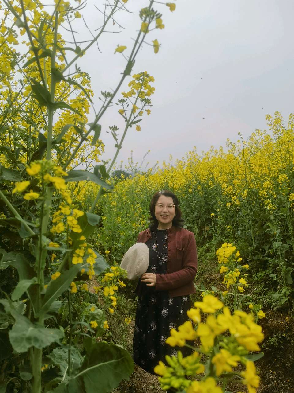 「散文」走,上广阳岛赏油菜花去(图33)