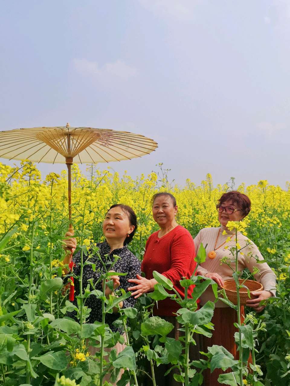 「散文」走，上广阳岛赏油菜花去（图21）