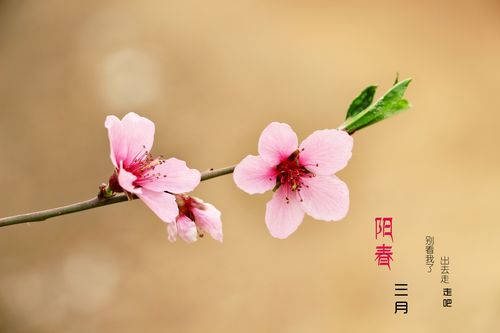 《时代主旋律 文苑正能量——读马山前文集有感》作者:成振林/陕西宝鸡