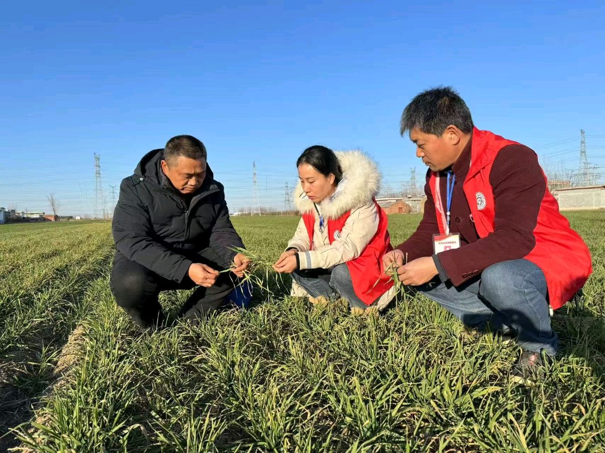宝丰王功庆：扎根田间地头 践行初心使命
