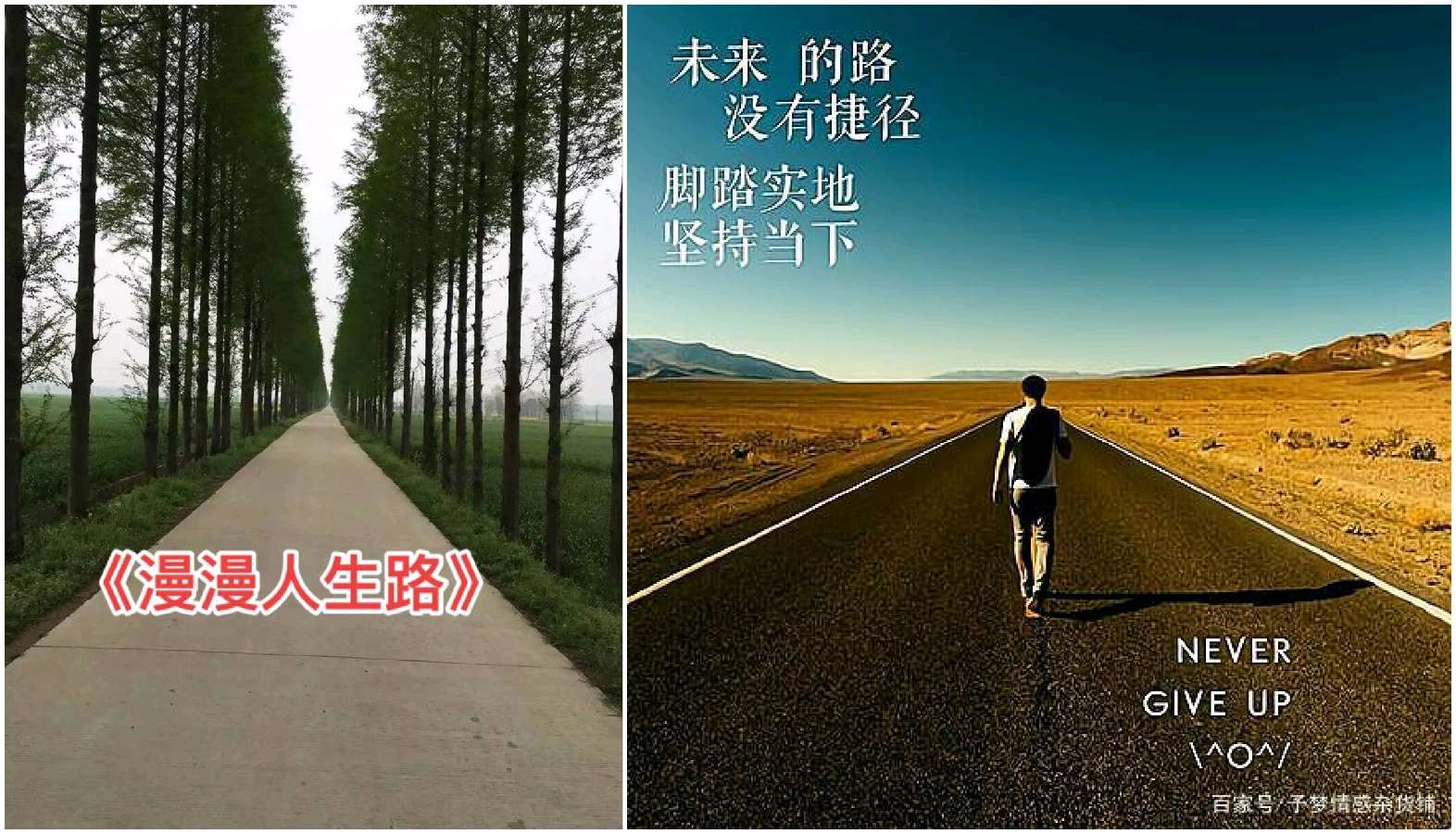 【重磅推出】鲁坡//这个世界我来过[你安好 我无恙]（图8）