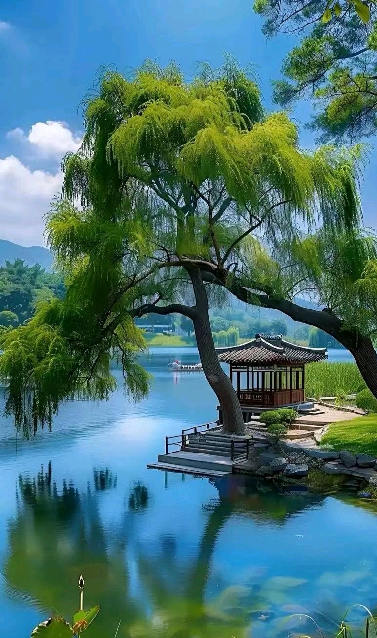 《》三月逢春（段尾同韵散文诗）：作者||高尚儒｜海外头条（图5）