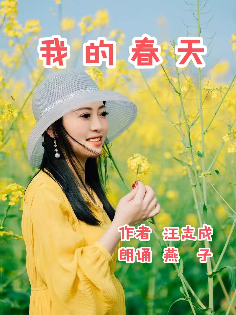 汪志成：《我的春天》朗诵：燕子~海外头条（图5）