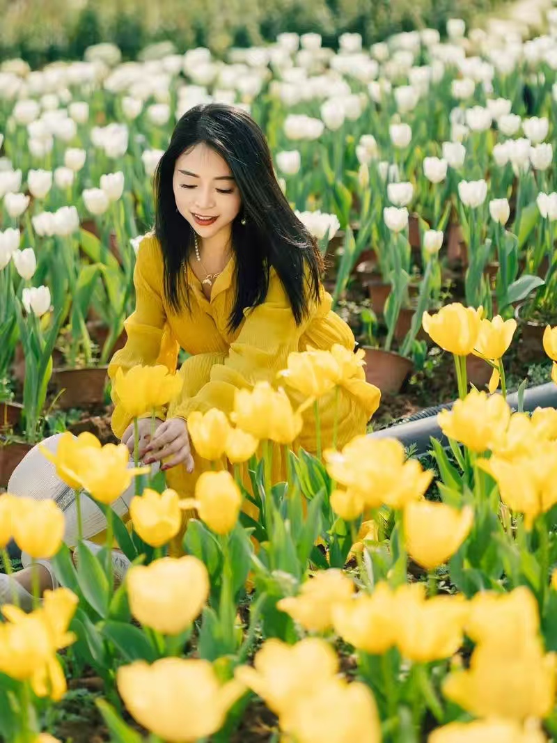 汪志成：《我的春天》朗诵：燕子~海外头条（图6）