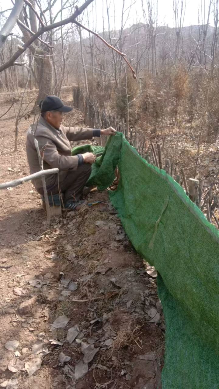 《守几亩薄田，老孤独冷暖》文/巨有斌（图2）
