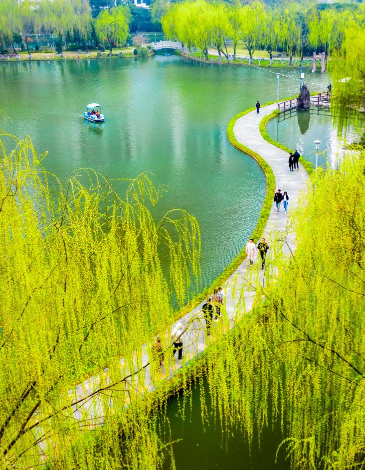 【新山东文学社】《三月春风轻陌上绿意生》作者/一介布衣 主播/红叶(图3)