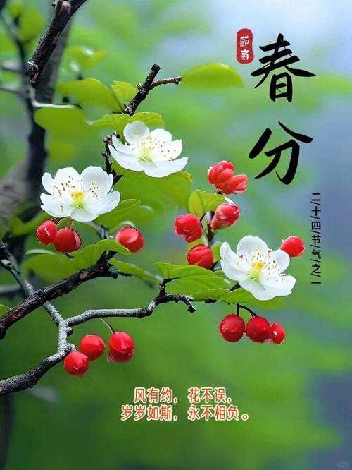 著名军旅作家韩春久现代诗《春分》（图4）