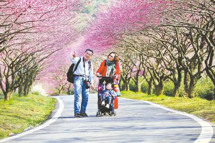 【新山东文学社】《春天 越来越接近美丽》作者/香香 主播/苏宁(图4)