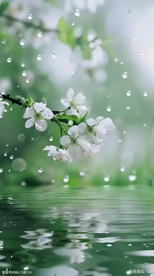 【新山东文学社】《三月的春雨》/一江春水 主播/菊心拾雨（图3）