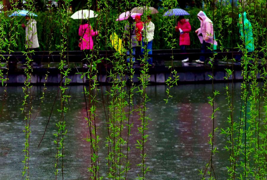 【新山东文学社】《三月的春雨》/一江春水 主播/菊心拾雨（图4）