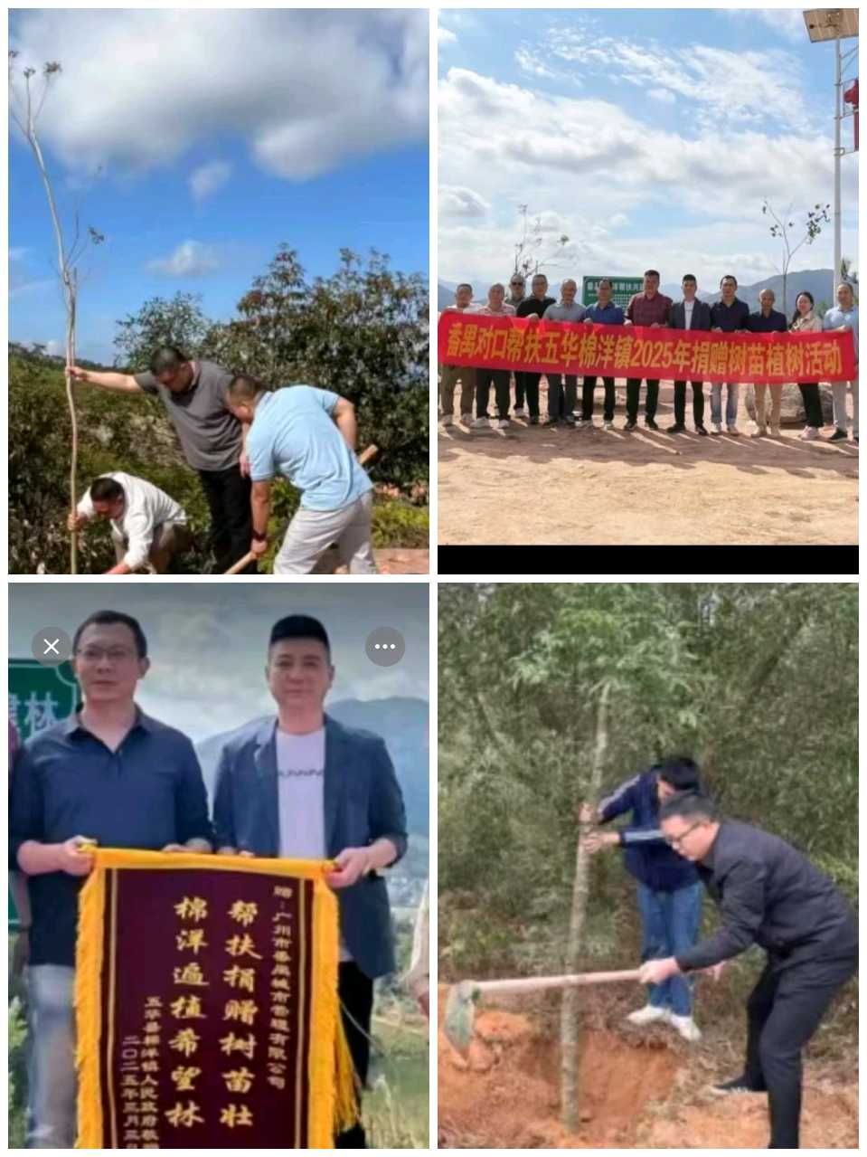 【经典推荐】曾培方//棉洋森林公园植树有感[外一首]（图3）