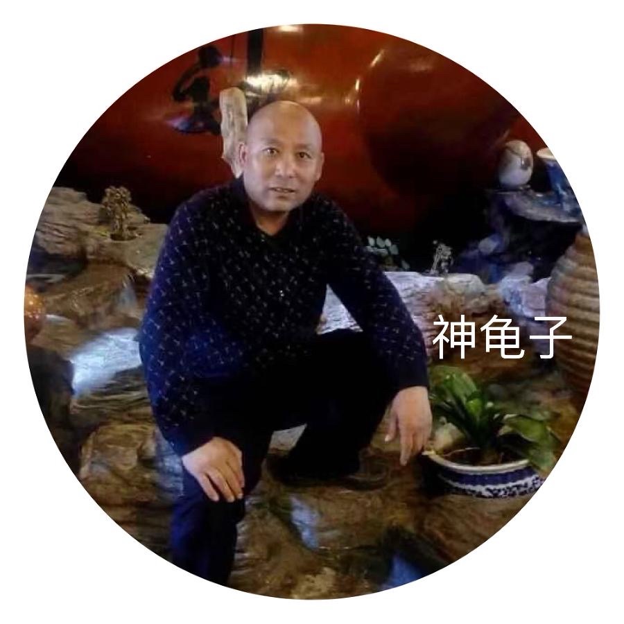 神龟子： 《十七行诗——悼念诗人华万里》海外头条（图6）