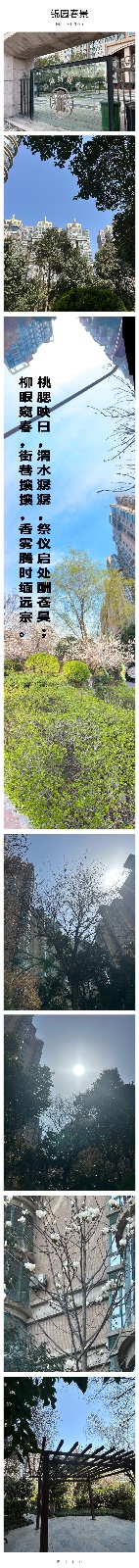 第15集 《🍀凤城春景》（外一首）（图2）
