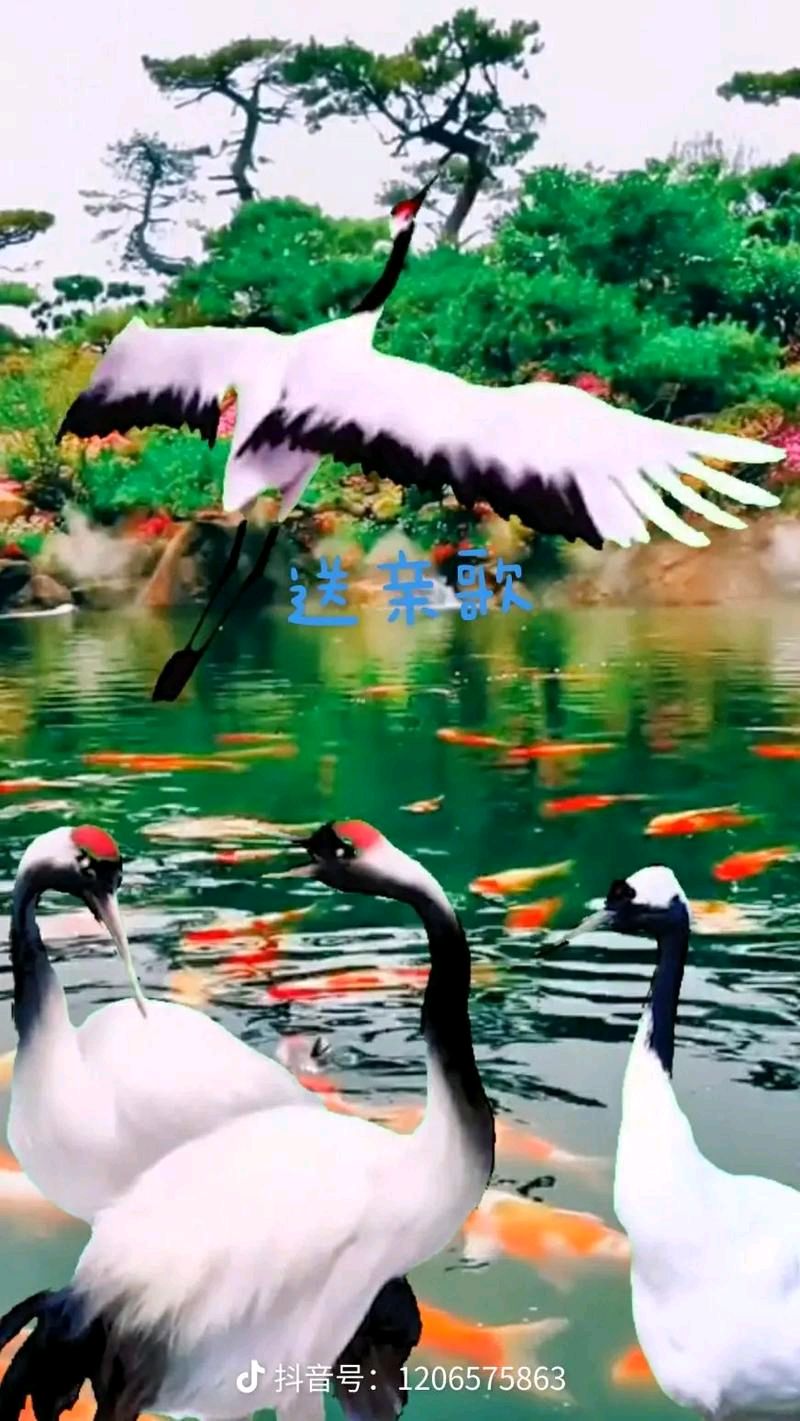 【重磅推出】鲁坡//四季如歌春尤美[岁月花开春意浓]（图12）
