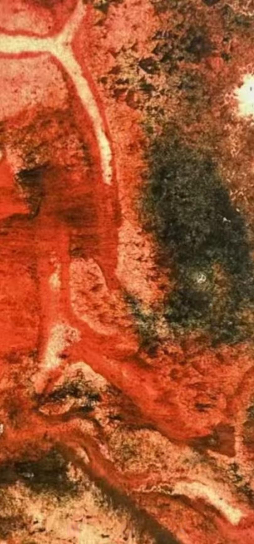 现代水墨画之父 成忠臣画作每平尺拍145万，行家讲国宝级（图3）