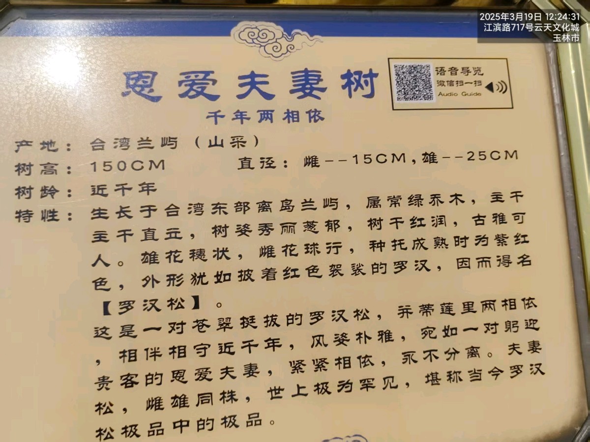 三元七绝诗~天南奇构（二首）文/詹成（图9）