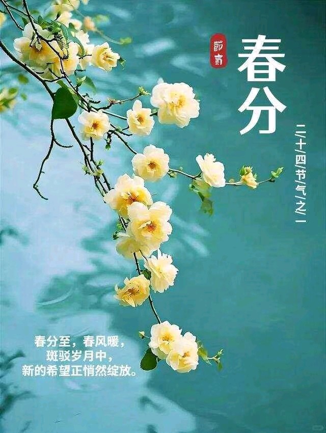 《九江文学社：北京头条》《乙巳春分节气》专刊（图18）